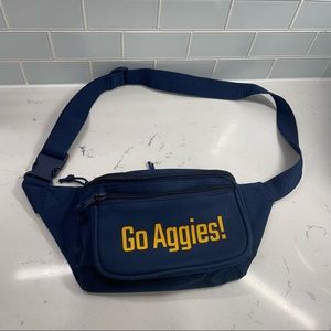 UC Davis Fanny Pack